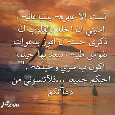 قد يتخلى گل شئ عنگ~ويبقى معك  اللـ~فگن مع اللـ~يبقى گل شئ معگ..عضوه في#فريق-الامل التطوعي..رجال المع((حسابے فے انستقرامhlooom17@))
