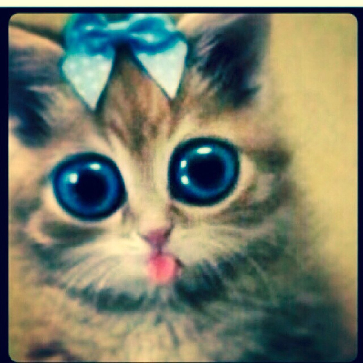 abdalaziz09091's profile picture. 