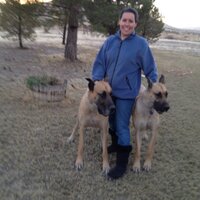 barbinator (@barbinator3) 's Twitter Profile