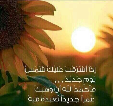 ‏‏‏‏احببتك ك معلمه خلوقه وﻻ استطيع ان اهديك هديه تليق بك في هذه الدنيا فعملت لك هذا الحساب لكي يدخل لك حسنات ونلتقي بالفردوس بإذن الله        (الحب دعاء)