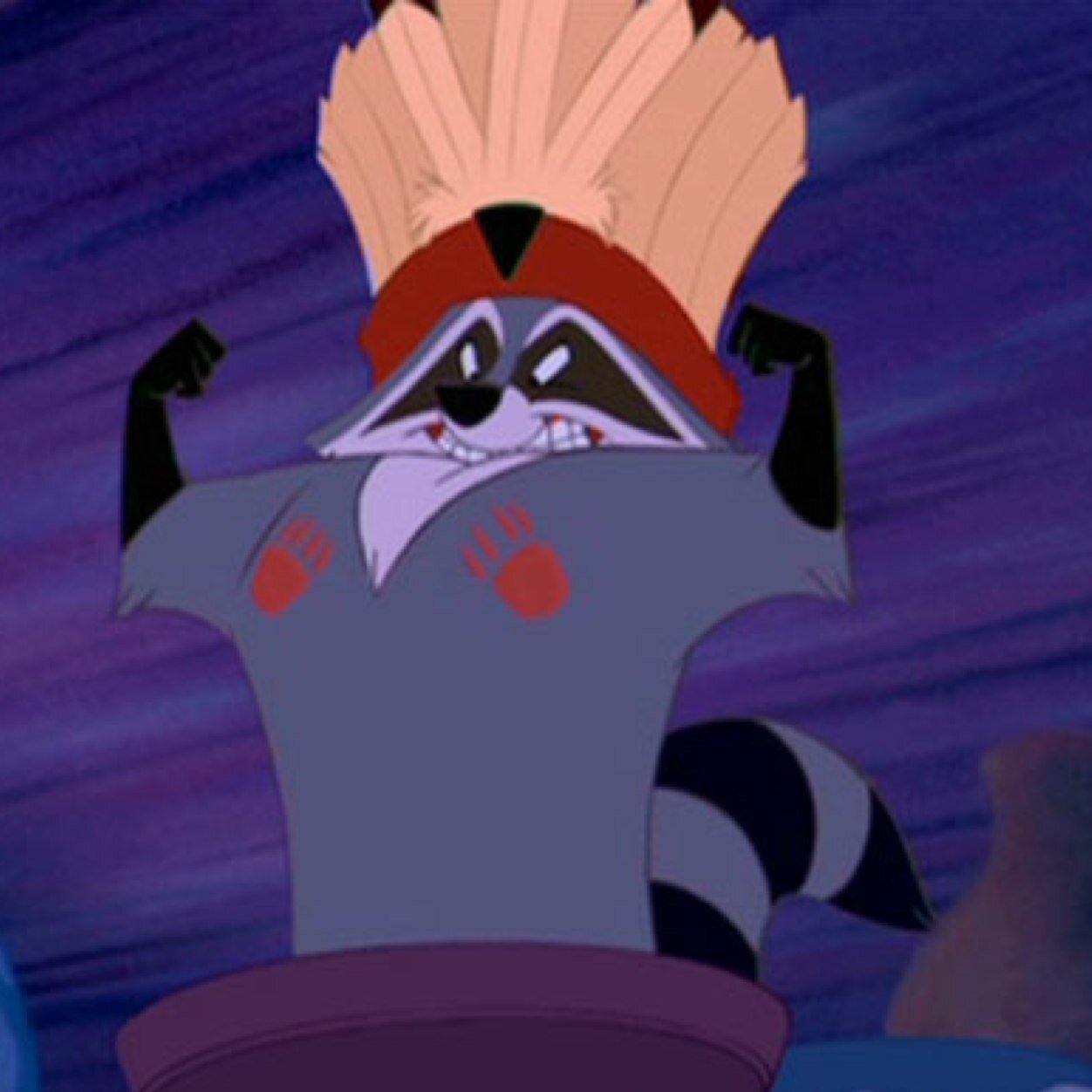 I'm Meeko, a racoon. I love crackers! You can bribe me with them. #single