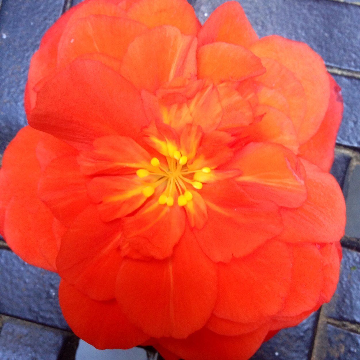 Summerposts12's profile picture. ⚓️Happy Summer⚓️