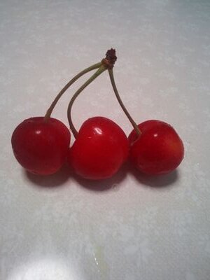 Uryo7's profile picture. 