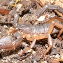 John Harnden - @jwharnden - Twitter