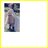 199401018's profile image