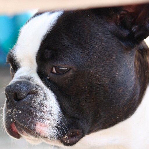 nhildreth85's profile picture. 