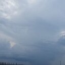 Amanda Griggs - @bamagirl3328 - Twitter