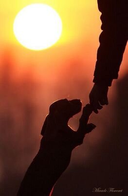 Germnhernndez16's profile picture. Lo que hacemos en la vida tiene su eco en la eternidad.Enterramos nuestros pecados lavamos nuestras conciencias.