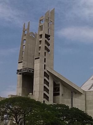 nestormolinares's profile picture. Pensamiento libre,respetar al pensamiento ajeno, repetar la vida, valorar a mi entorno, apreciar el tiempo ya que es vida,y darle gracias a dios por todo x todo