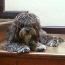 irasema diaz - @IraDiazM - Twitter