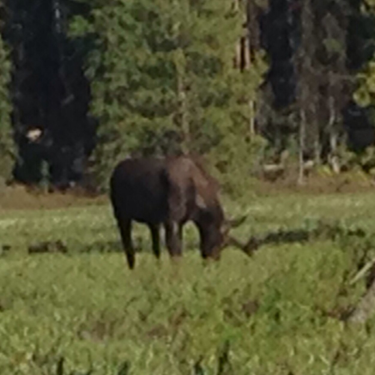 moosetracks1's profile picture. Educator, UofU Alum, HOG Member, Mother of 4 AWESOME kids & 7 grandkids. Ed Tech, Love working with kids as they explore STEM, technology! LOVE my Job!!