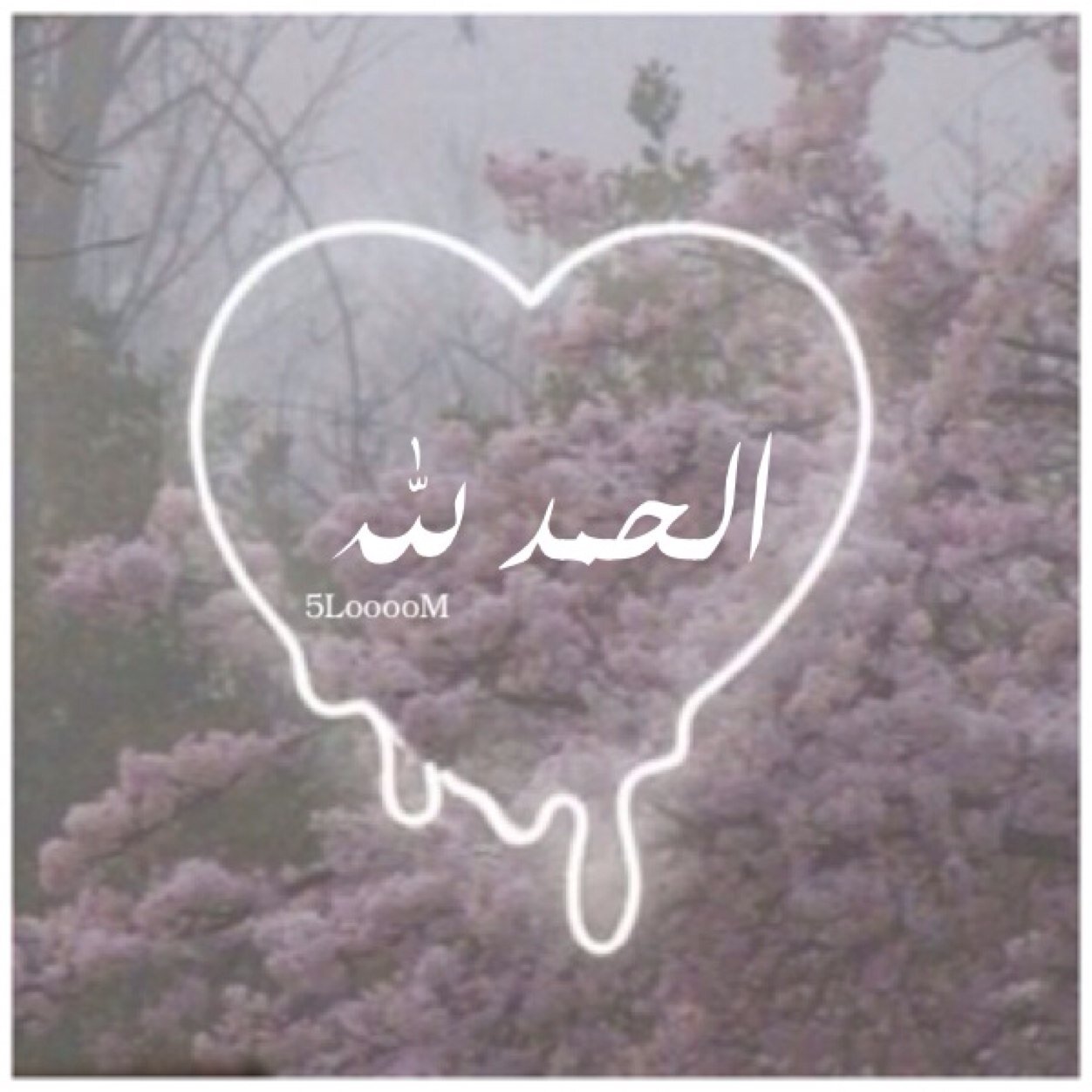 لانني احبك بقلب صادق لأنني اخاف عليك من عثرات الحياه ولآن الحب دعاء ،ولآن حبك مختلف عنهم انشأت هذاالحساب ليكون صدقه جاريه لك طول العمر ....♡