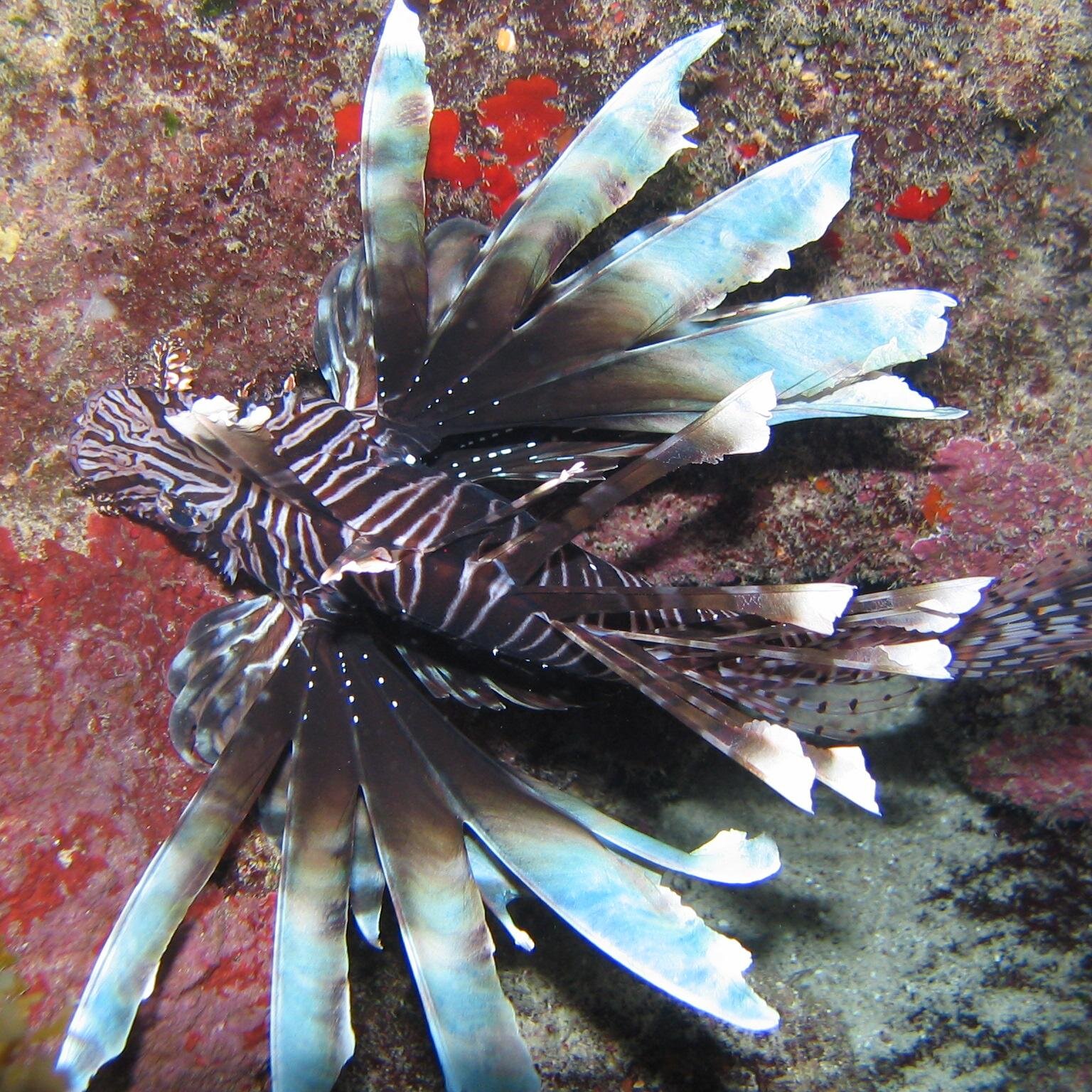 Jeffreybeckham's profile picture. 