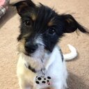 Tom Hand - @VOETOM - Twitter