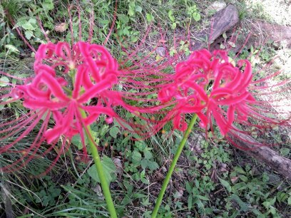 d019509's profile picture. 