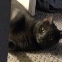 Greg Corliss - @CorlissGreg - Twitter