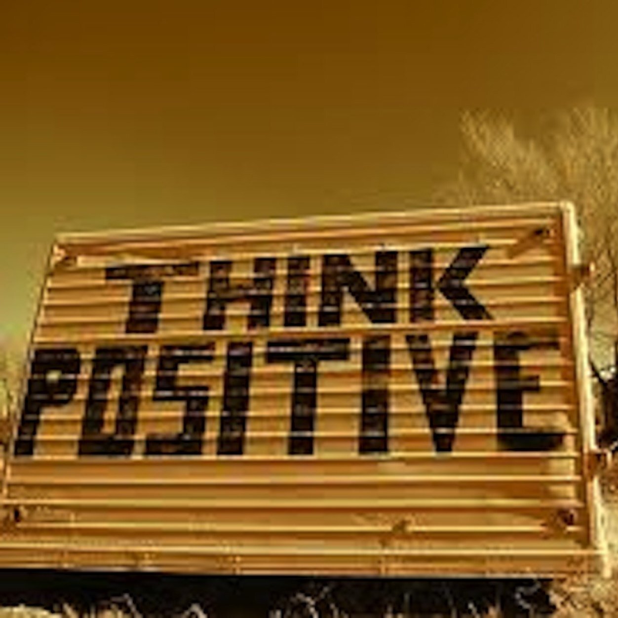 Positive minds live positive lives