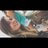 larissagv98's profile image