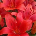 Teri Wagner - @teri_wagner - Twitter