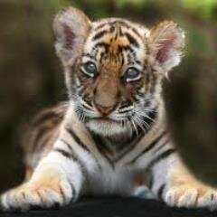 JWAvidReader's profile picture. World traveller, sci fi fan, lover of cats, music, film and books.