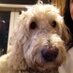Aileen (@aehorowitz2001) Twitter profile photo