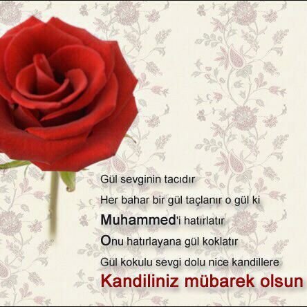 fussy00mm's profile picture. 