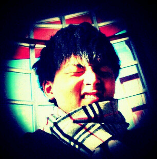 94/新潟/ぐんま/IBK/虎党/ALBIREX/おひさま/🐯/🦢/🐙/🌱/🎠