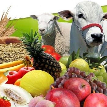 AGRÍCOLA Y PECUARIO
   °CAMPECHE °CHIAPAS °MERIDA °QUINTANA ROO °TABASCO  °VERACRUZ http://t.co/VmZeCef1CI.