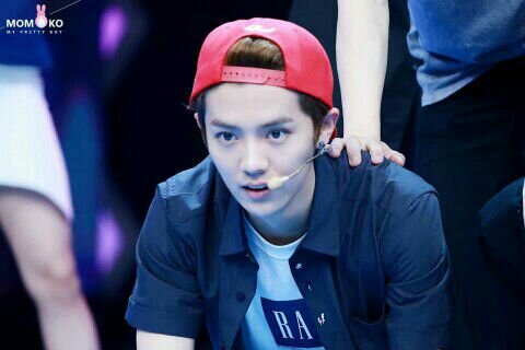 Xi Luhan pard—etnis—Teamjava—terkadang yadong/g