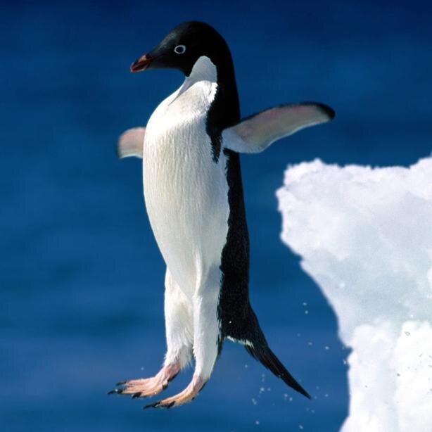 bspar_'s profile picture. Hi, I'm bspar