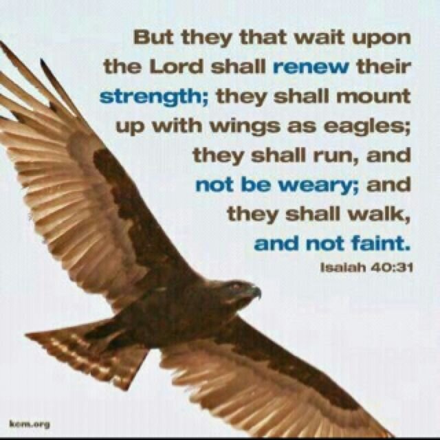 Pstnewcare's profile picture. 