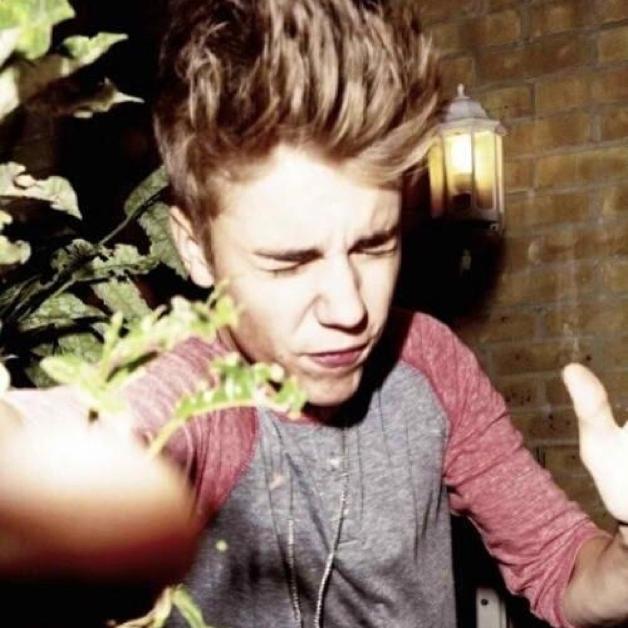 fuscorradino's profile picture. follow me on @kailafornia_