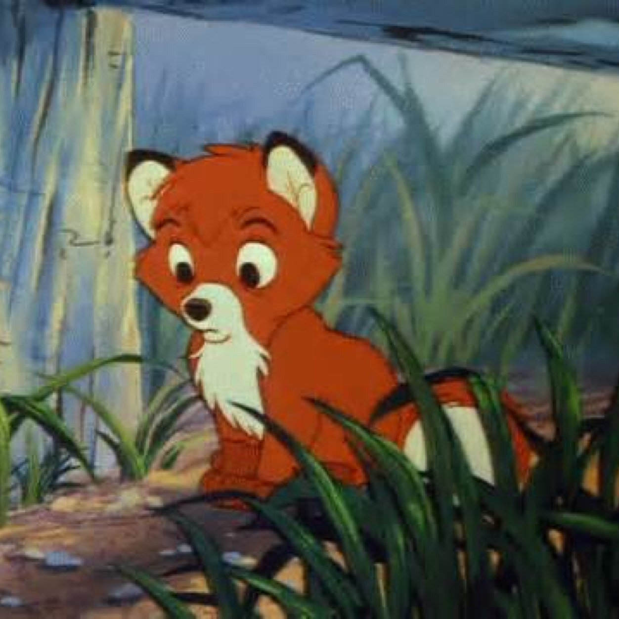 Hey I'm Tod a fox cub My mom is @Star123Tiger I have no dad or a master but I'm going to be a tough and strong protective fox when I get a mate and master.