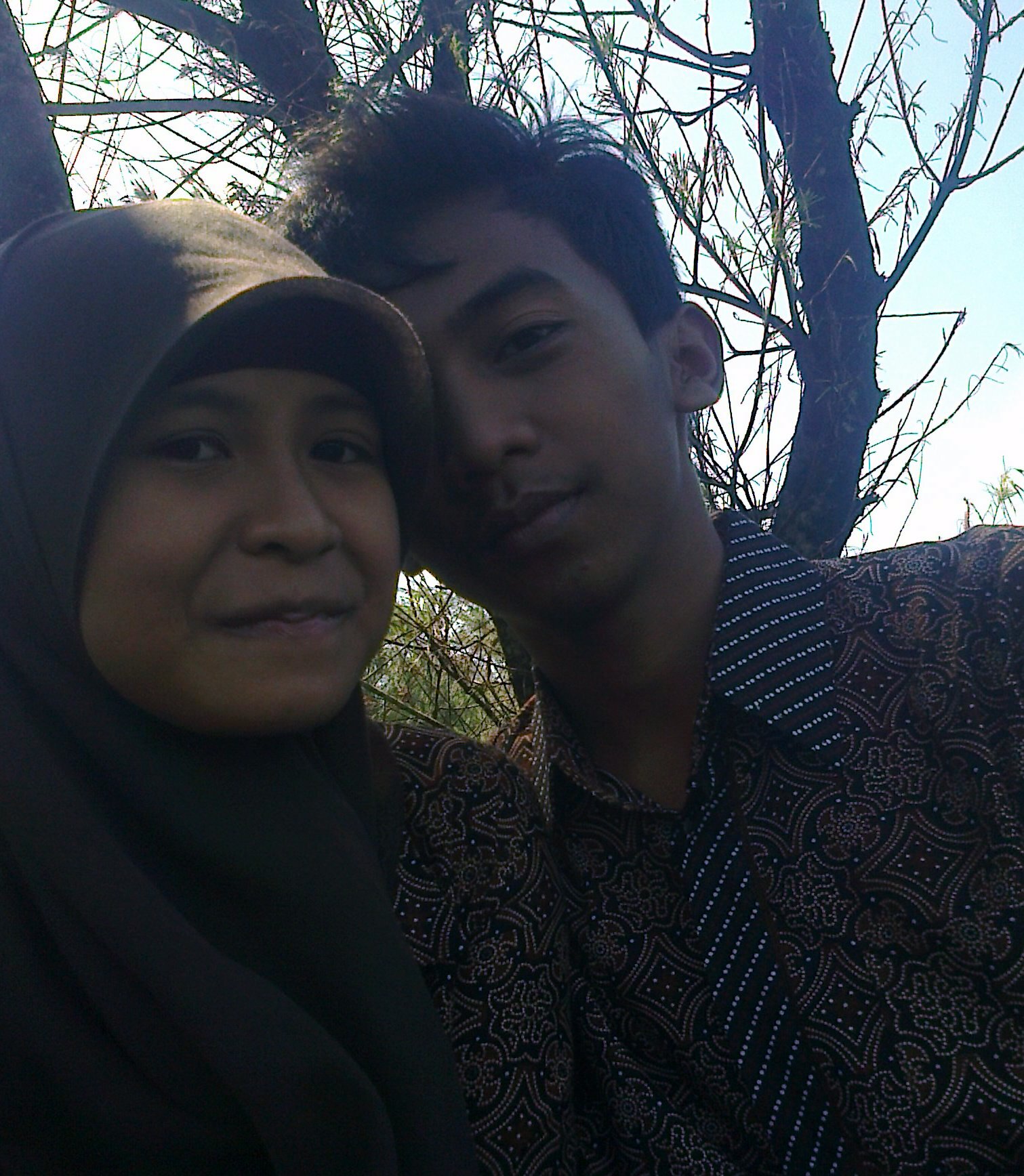 trieshoheh