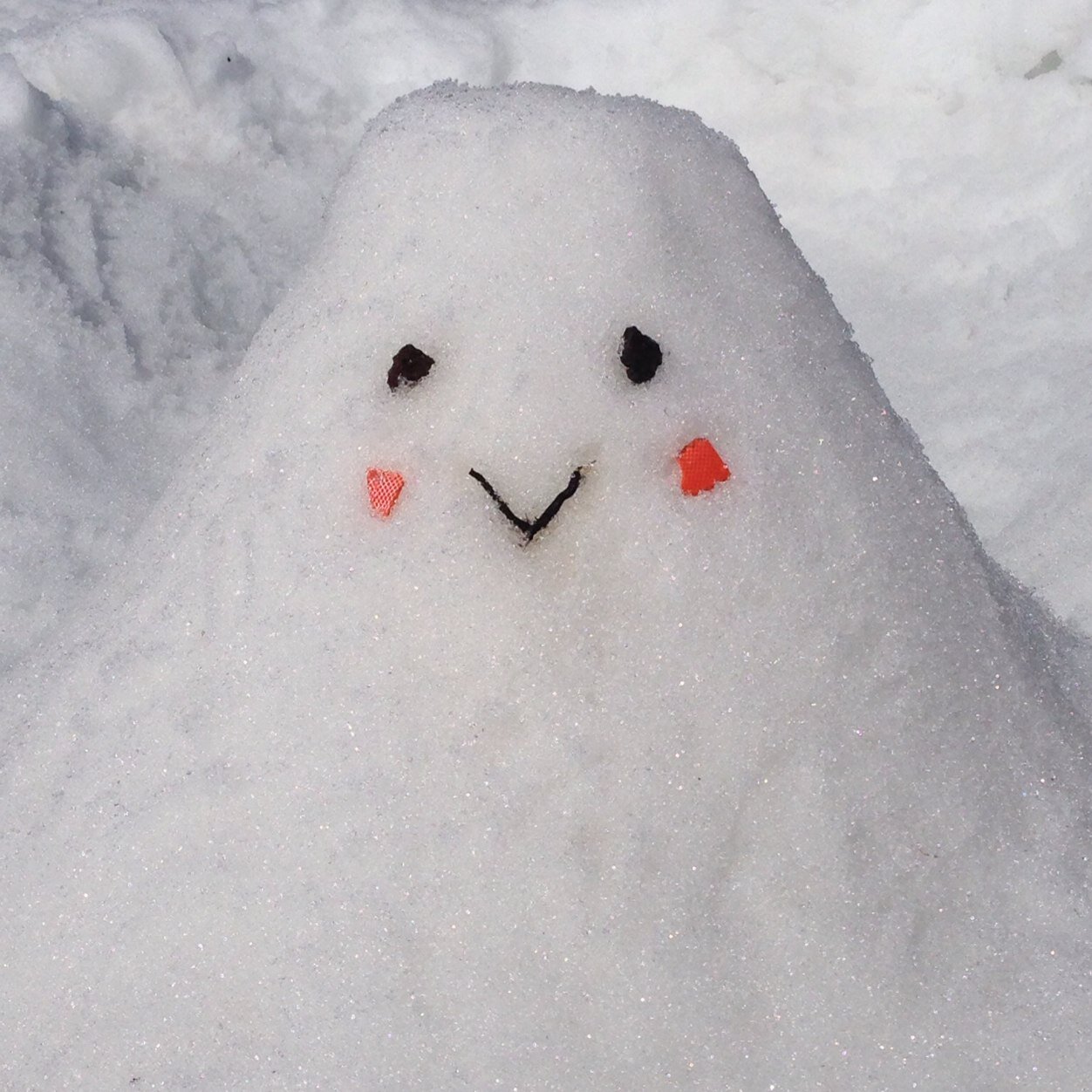 akko_paracoun's profile picture. 