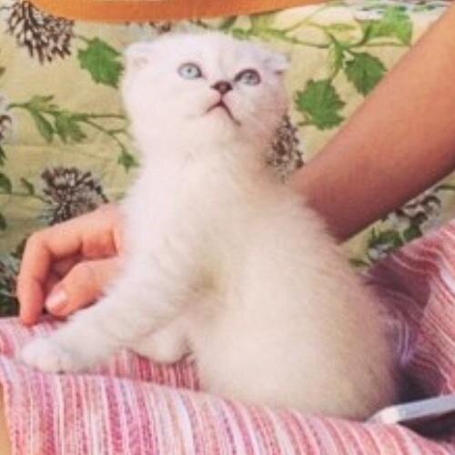 รักเจ๊เทย์ | เธอคือมาย แองเจิล | @taylorswift13 ว่างป่ะมาเป็นแฟนเราเถอะ | ชีวิตนี้จะยังไม่ตาย ถ้ายังไม่ได้ดูคอนฯ เจ๊เทย์