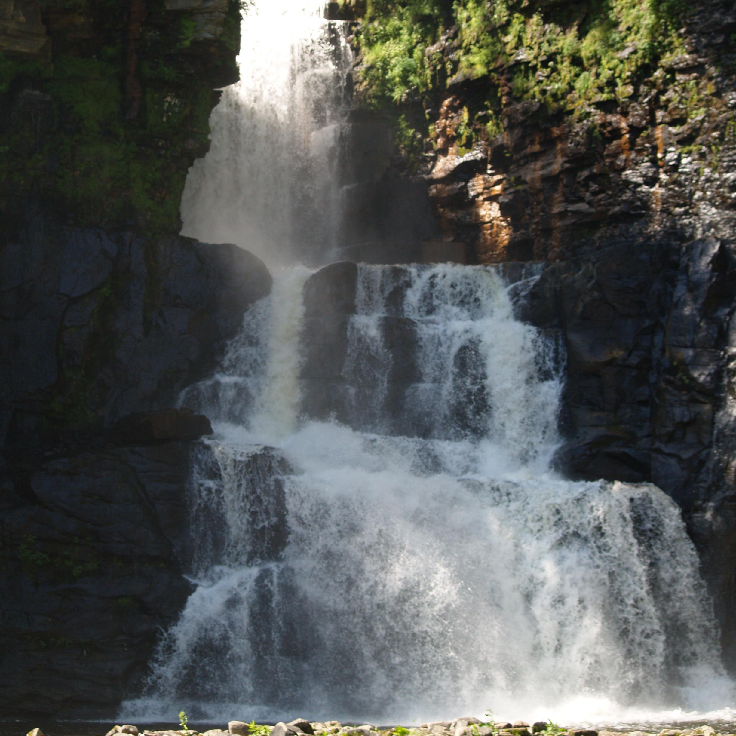 Author_RJBark's profile picture. Fantasy Author, Book Reviewer, Photographer