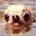 Chris Nottingham - @CNottingham14 - Twitter