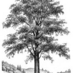 MaliyahS0to's profile picture. Lifelong tv junkie ...10 years ...want:Entrepreneur  -  Tv lover - Award-winning reader ;