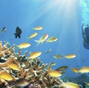 oceanograph_age's profile picture. oceanography, Biological, Physical, Map, Clipart, Tools, Diagrams,