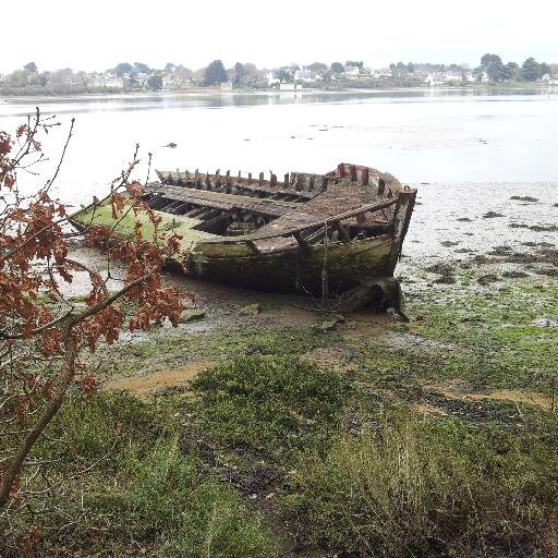 YannSTEPHAN's profile picture. 