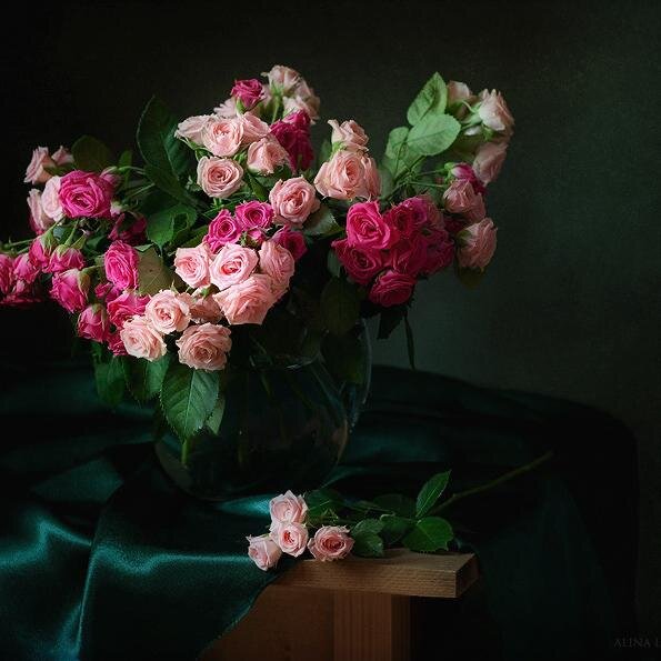 eleniletsou's profile picture. 