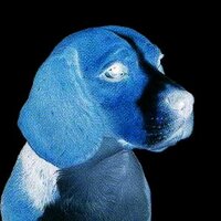 悪漢と密偵(@BaddieBeagle) 's Twitter Profile Photo 悪漢と密偵(@BaddieBeagle) 's Twitter Profile Photo