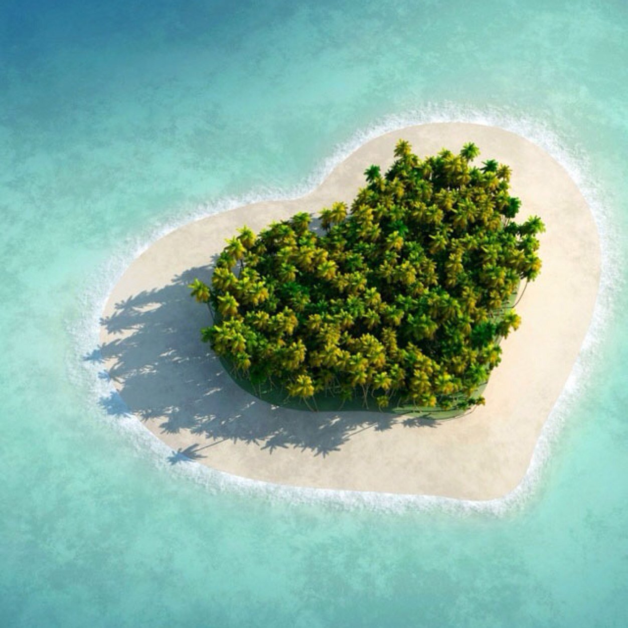 parbinshaik5's profile picture. I am huge fans of: the vamps,demi lovato,ariana grande, katy perry and 5SOS!!!