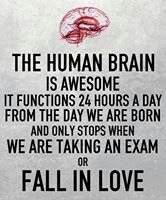 The best brains are in operation, fear not God in control