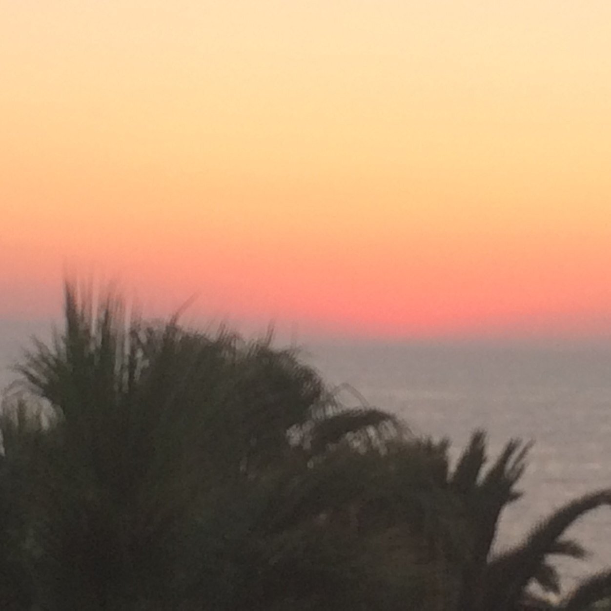 LisaHichens's profile picture. 