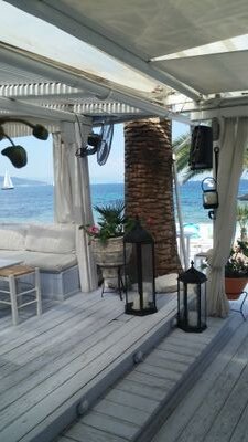 fidodido12355's profile picture. 