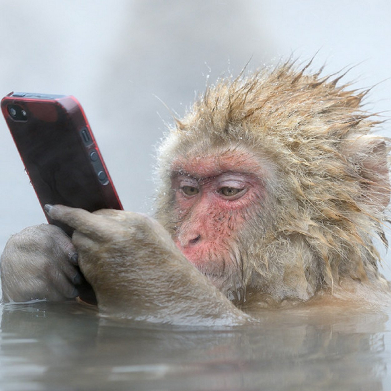 AlGonal_'s profile picture. No por mucho caminar amanece mas temprano.