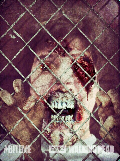 sergio13ribeiro's profile picture. I am a Huge Horror movie fanatic! I also love movies, TV, comic books and video games!! I have another Twitter called Mr_HorrorFan!