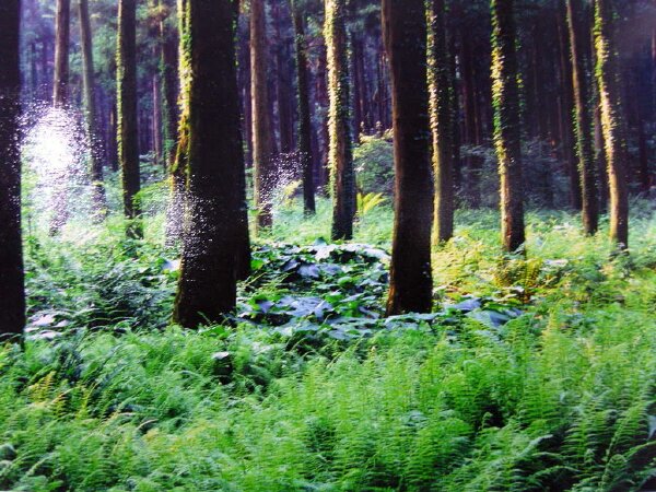 jeju114land's profile picture. 함께 행복하게 살자~